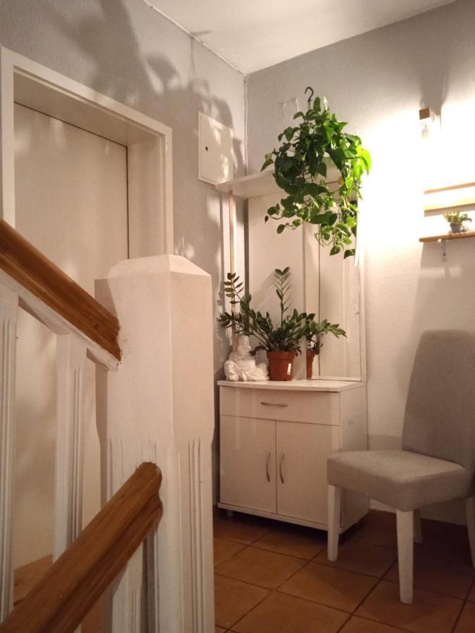 Villa Monera Apartments & Rooms & Free Garage Мостар Екстериор снимка
